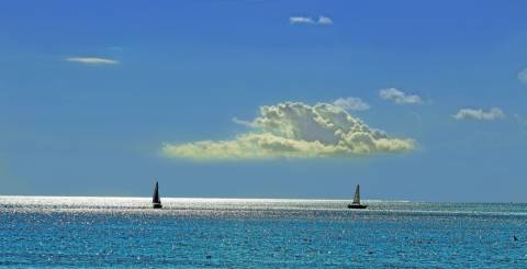 Two sailboats on the big blue